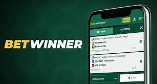 How to Successfully Register on BetWinner
